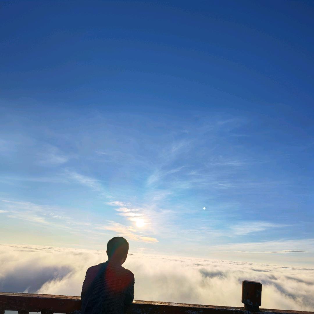 海獭阿望（典藏版）