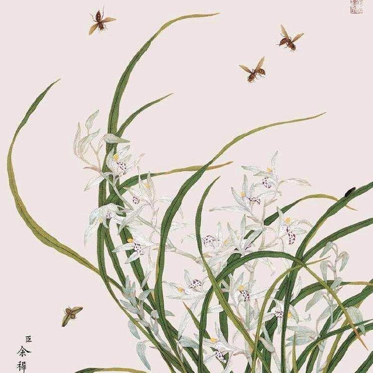 菲我莫属