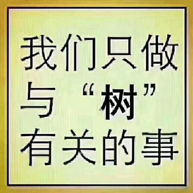 雨森木业