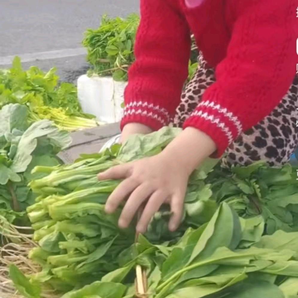 客家阿婆跟小又子