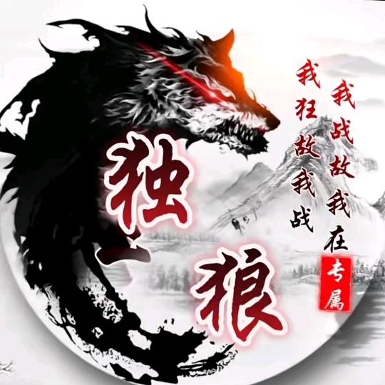 ㅤㅤㅤ☛🇨🇳独狼🇨🇳 ☚