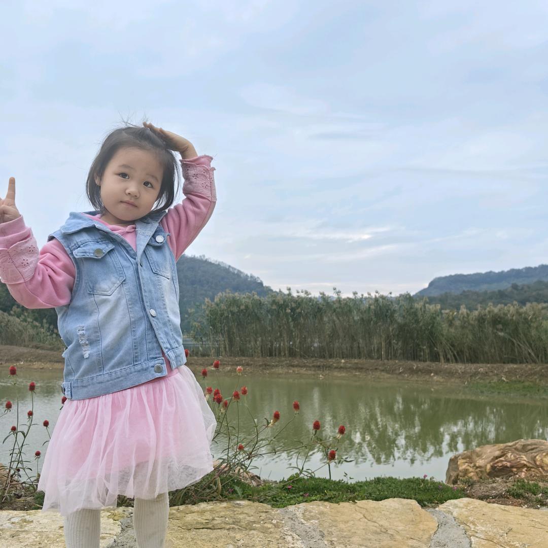 音视频茶文化李宁