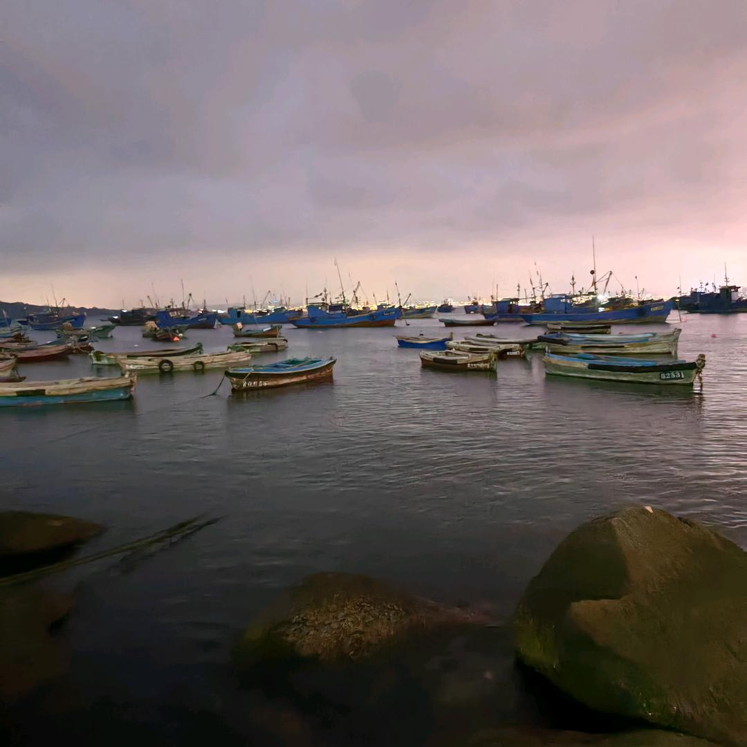辉县市达润生猪贸易有限公司