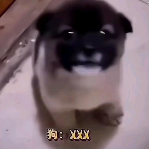 暖宝宝