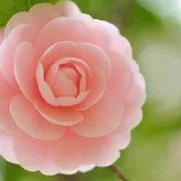 幸福时光里