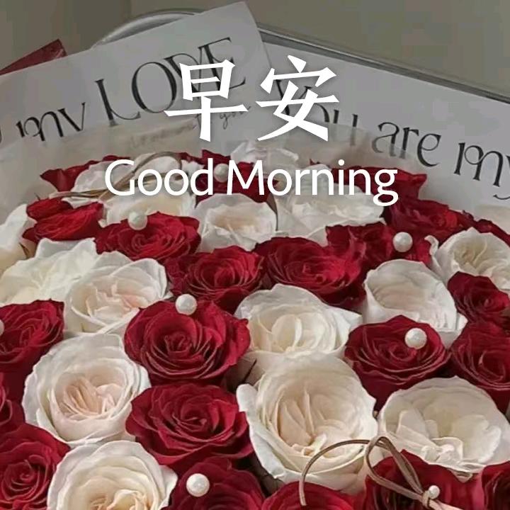 卓越♬