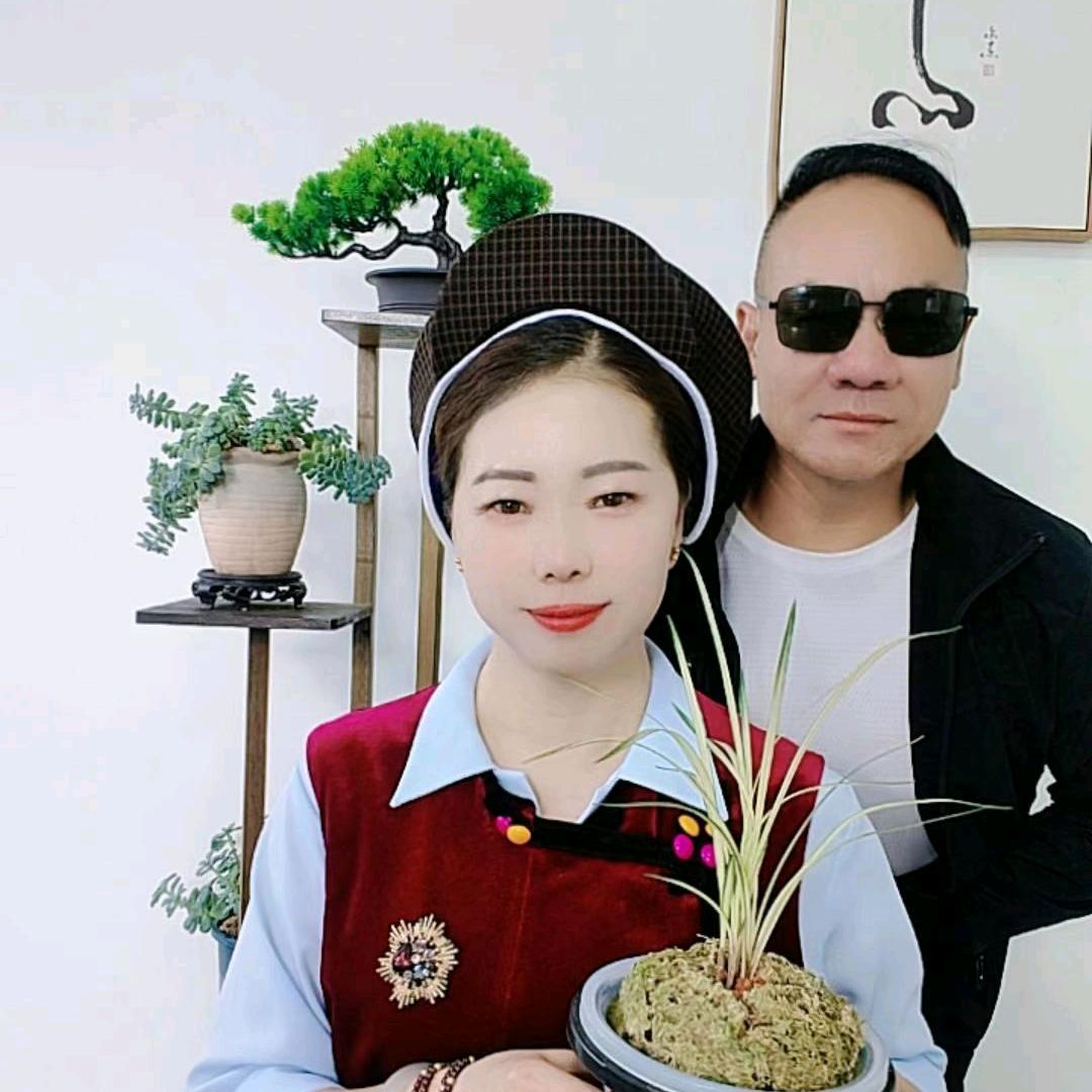 鹤庆县松哥花卉店