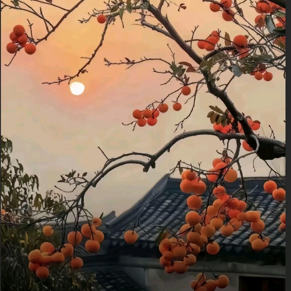 卡酷