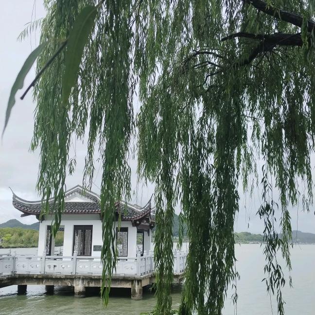 ꦋᩚꦿ满眼🍀星辰᭄࿐