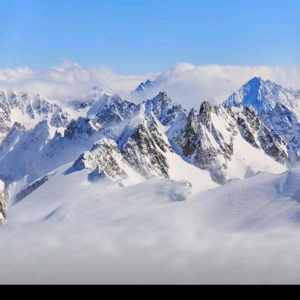 草白鞋类专营店