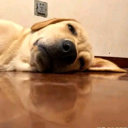 闲的