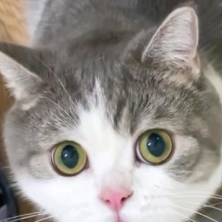 风雨人生