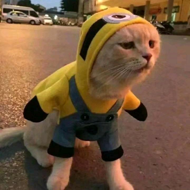 海❤