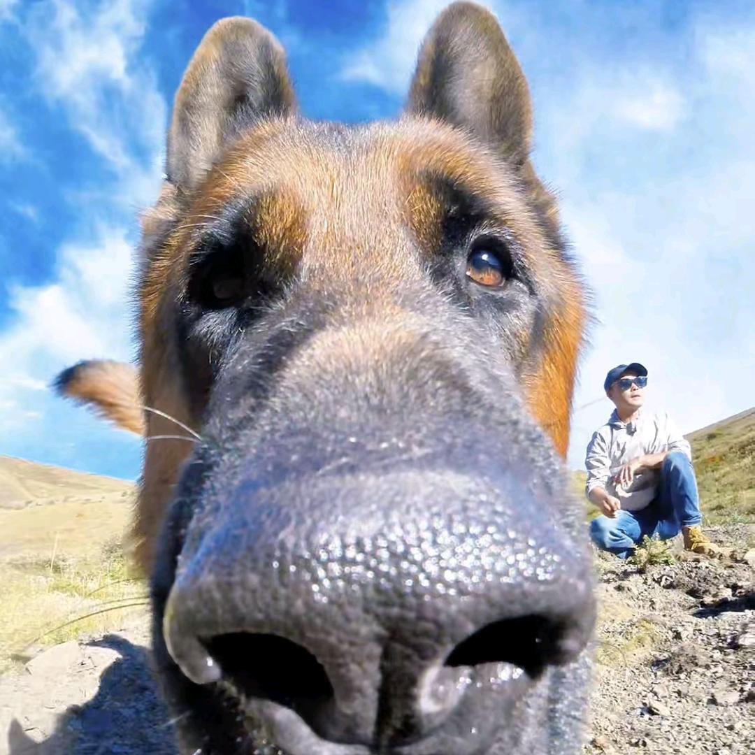 你在刁难我胖虎？