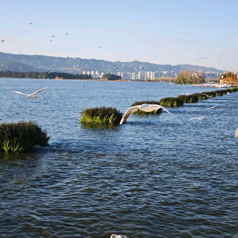 人生若只如初见🌸
