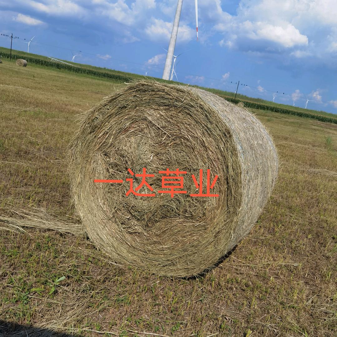 一达草业