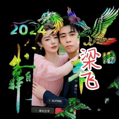 ꧅ꦿ💖｡✧* ꧁梁飞꧂✧*｡