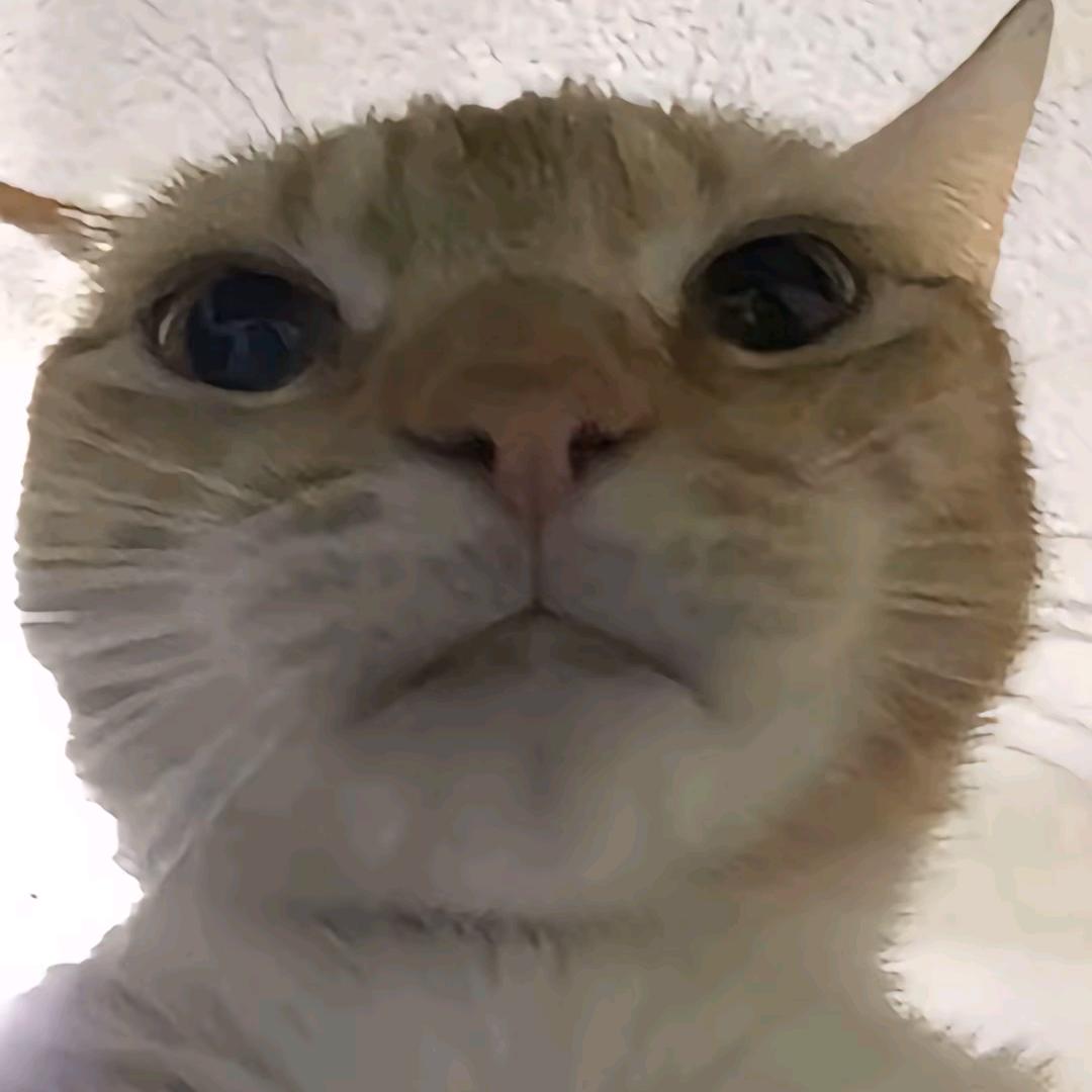 子匕