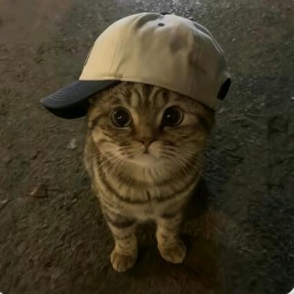 悲伤麻辣烫.🥗