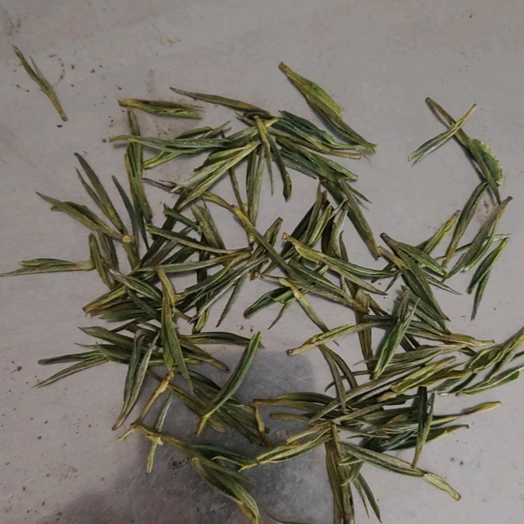 常年代购买卖安吉白茶