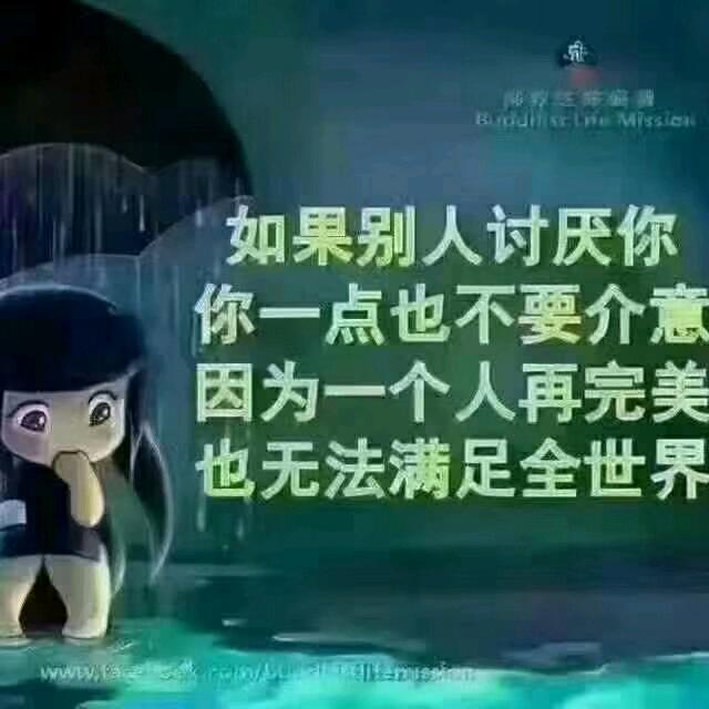 等风也等你🍀🍀