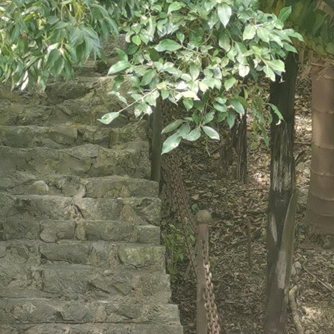 帅渣渣