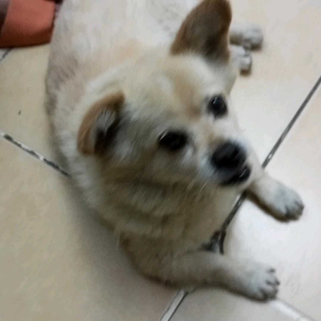 秋日烈阳