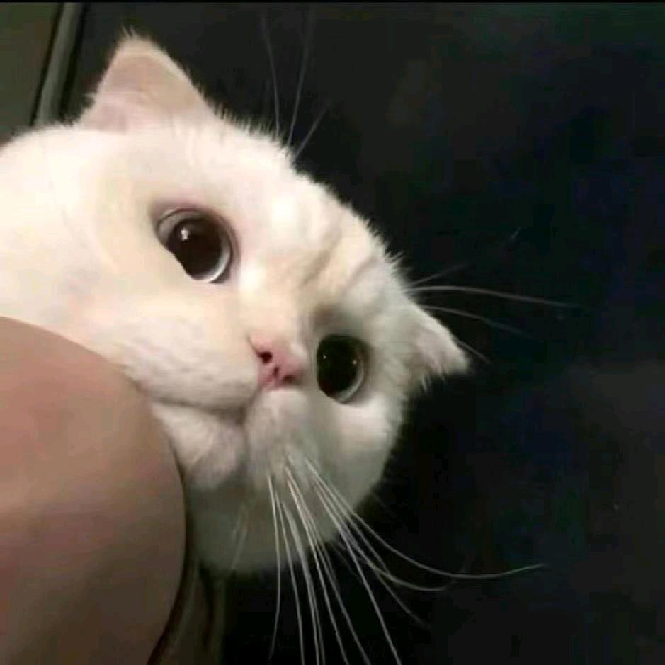 Yuuuuu