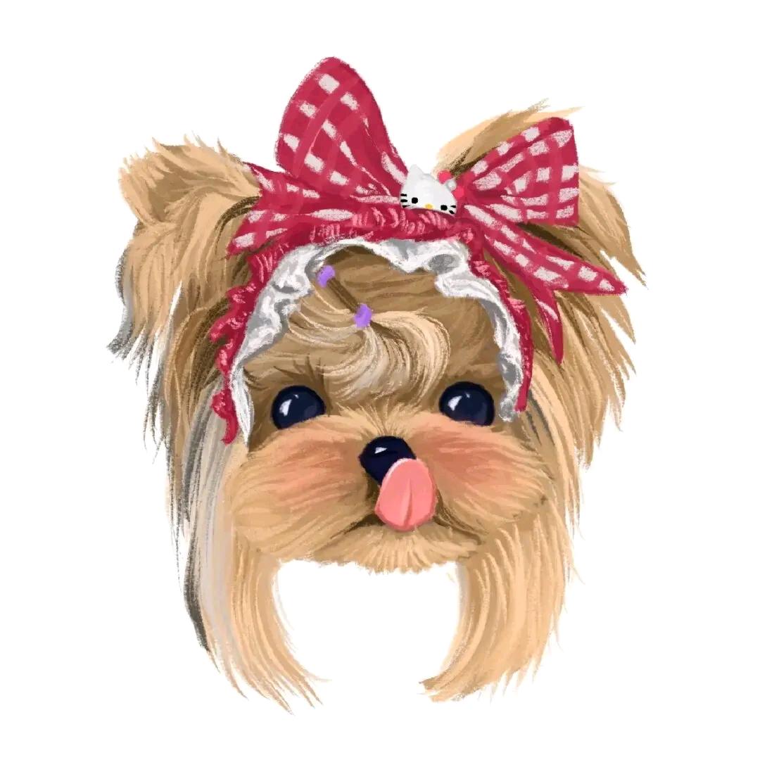 阿义抖宠约克夏甄选