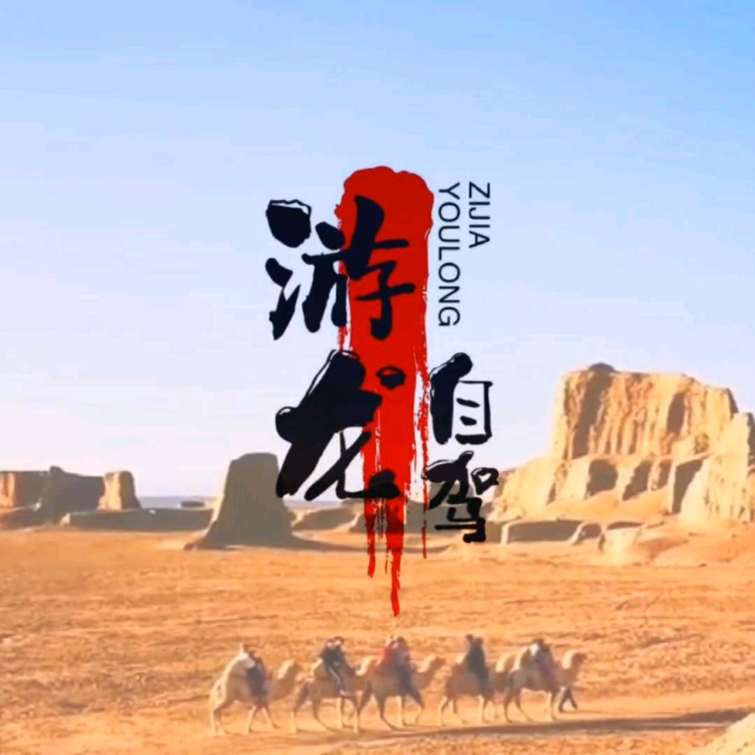 游龙自驾