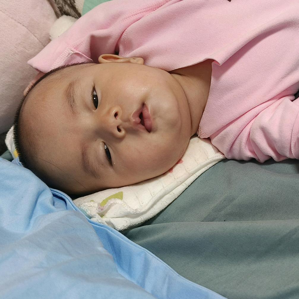 小李养蜂1