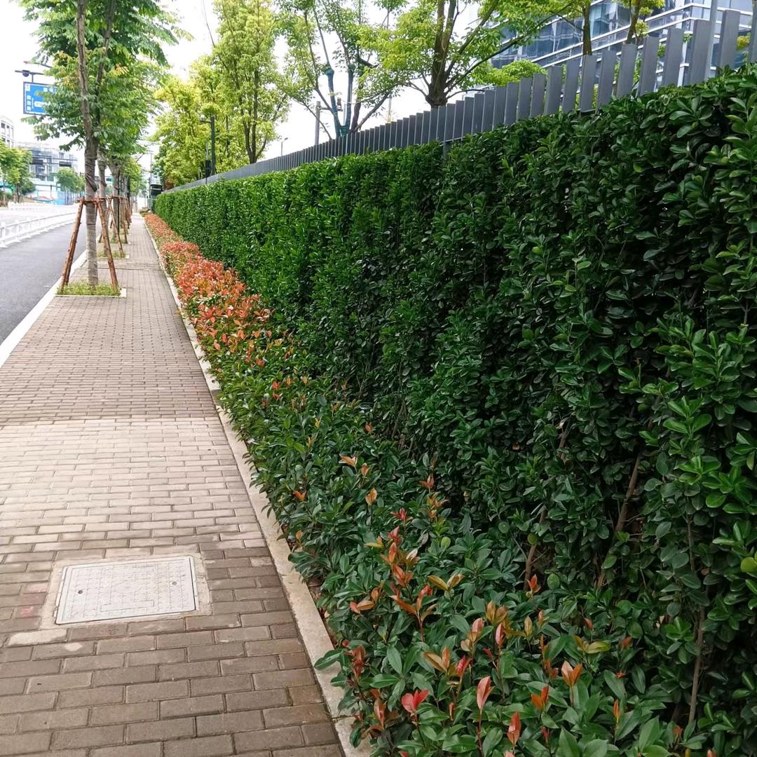 景观工程