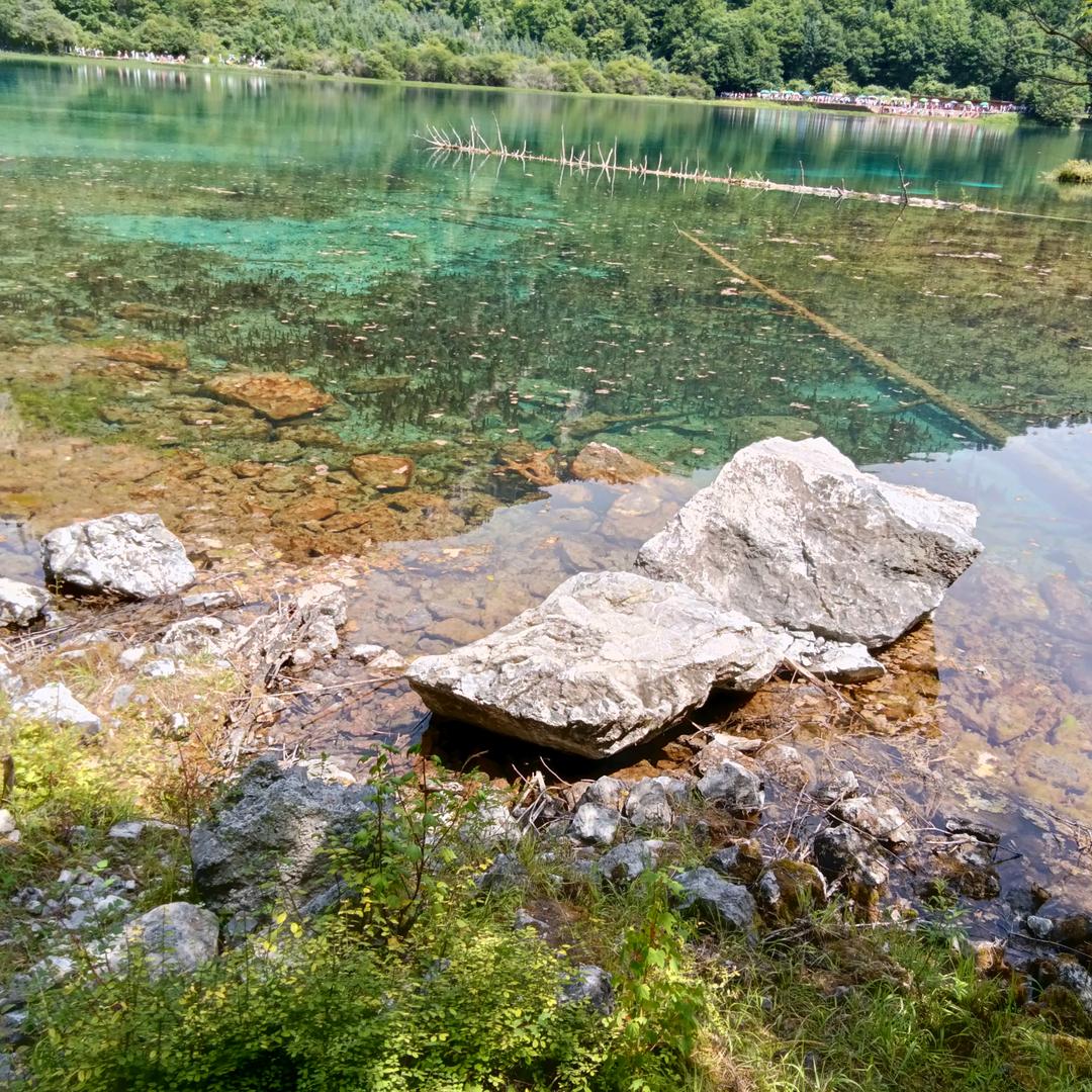 顺心顺意