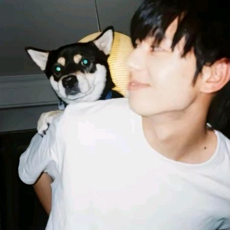 淡淡的忧伤⸜₍๑•⌔•๑₎⸝🇵🇸