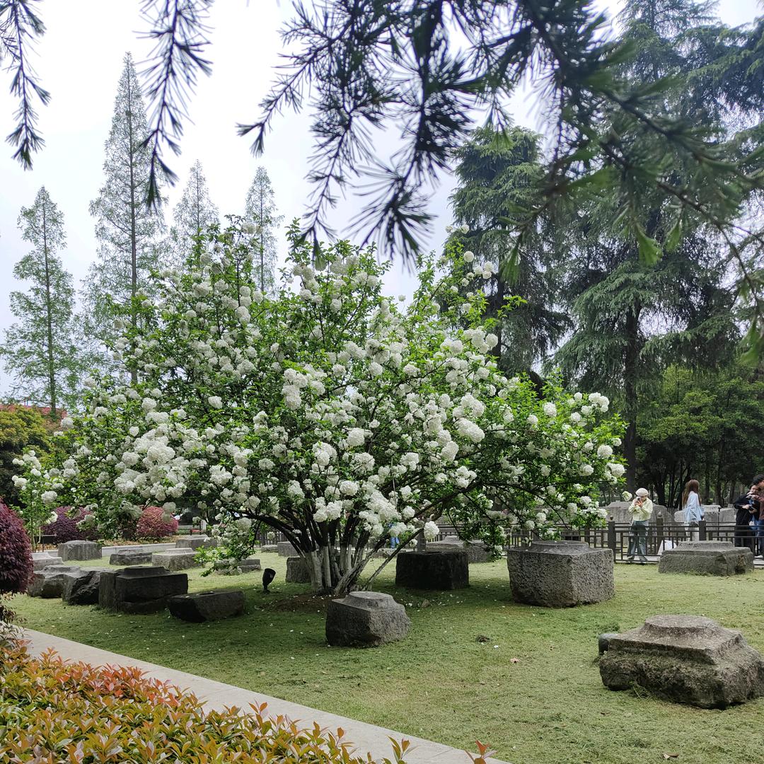 山村