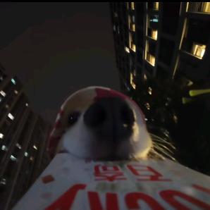 死于脚气攻心
