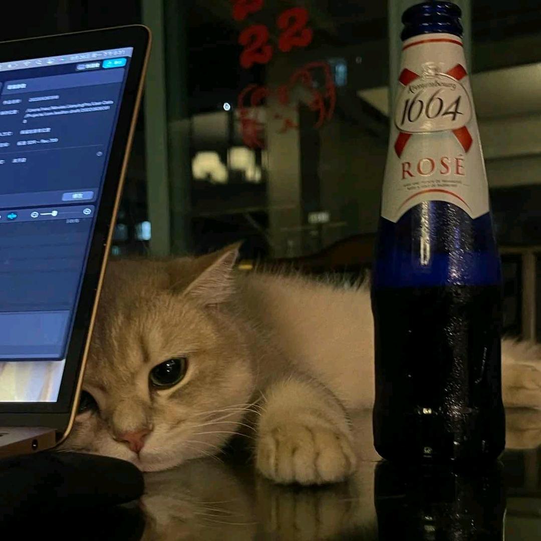 落叶秋凉