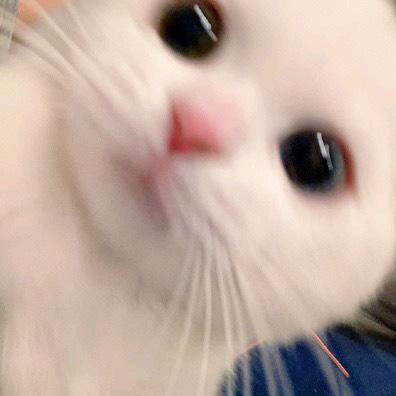 风云再起