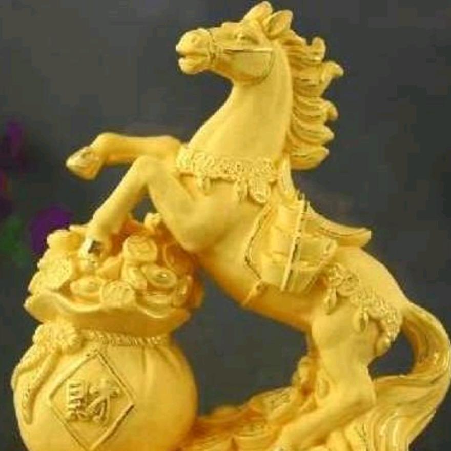 🇨🇳中国杨哥
