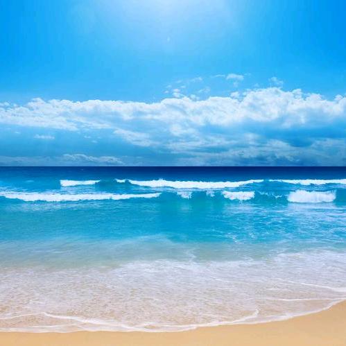 浮生若梦