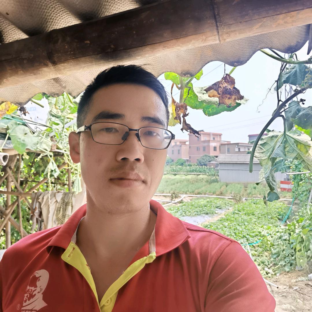 阿文农业-韭菜花和紫苏植保