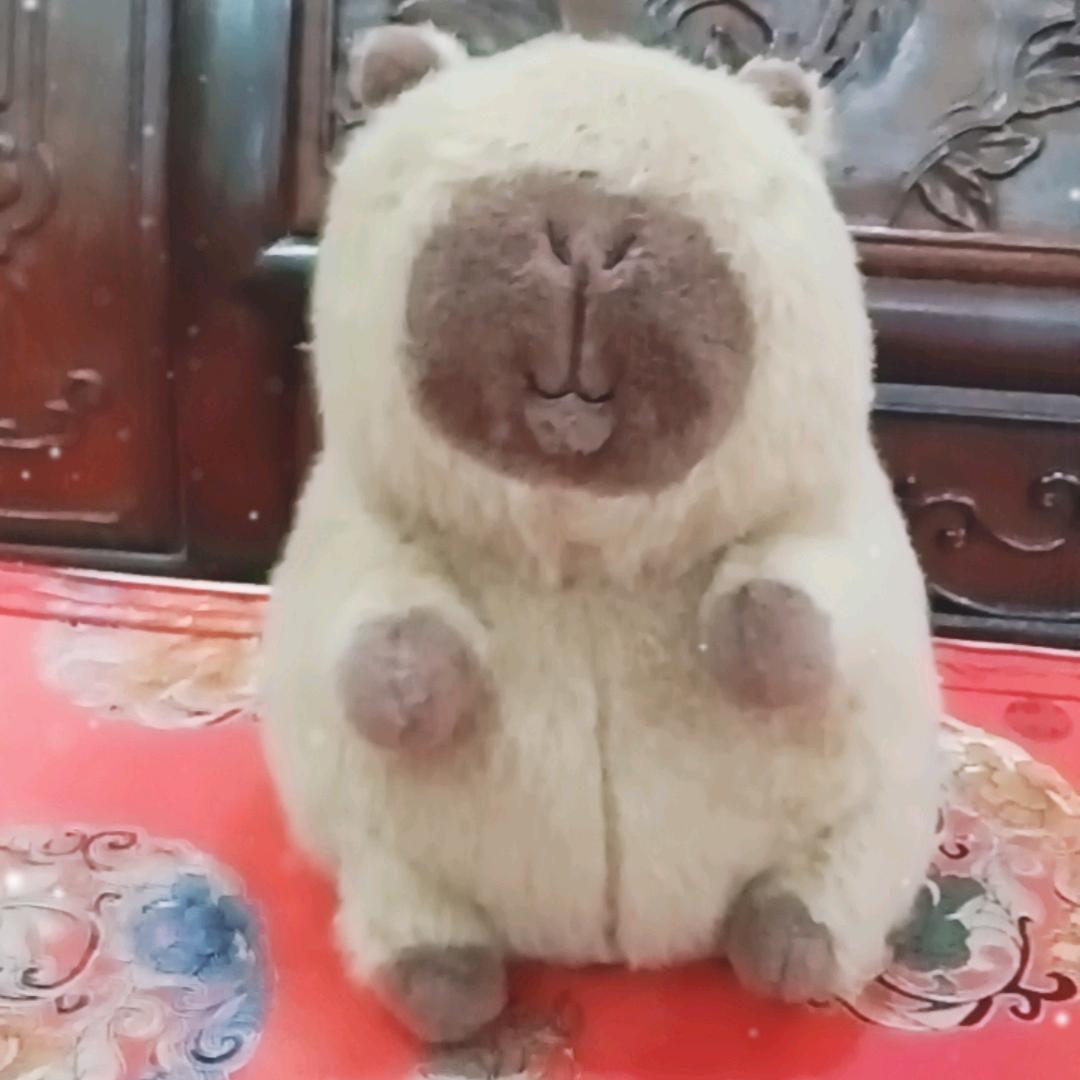 @卡皮巴拉