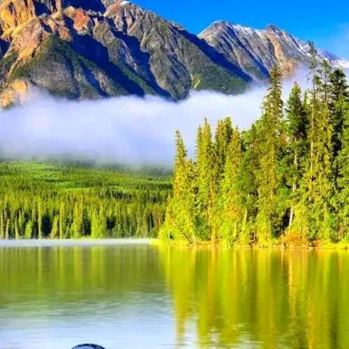 简单快乐