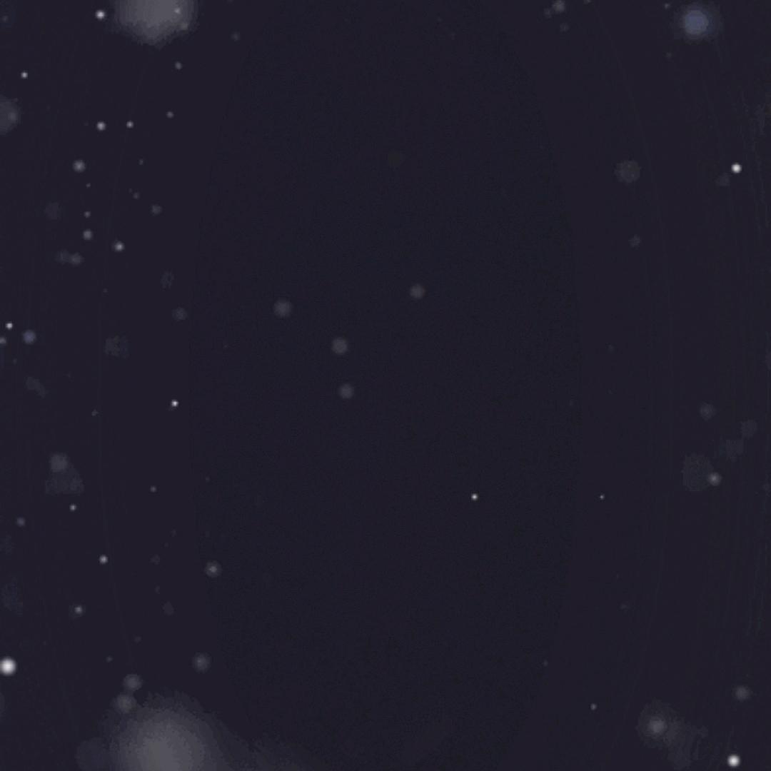 9527你在干什么