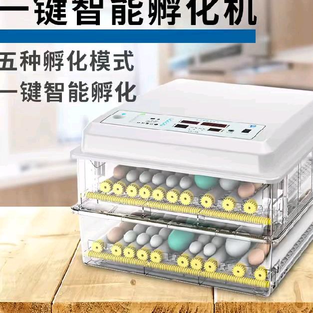 全自动孵化机源头工厂