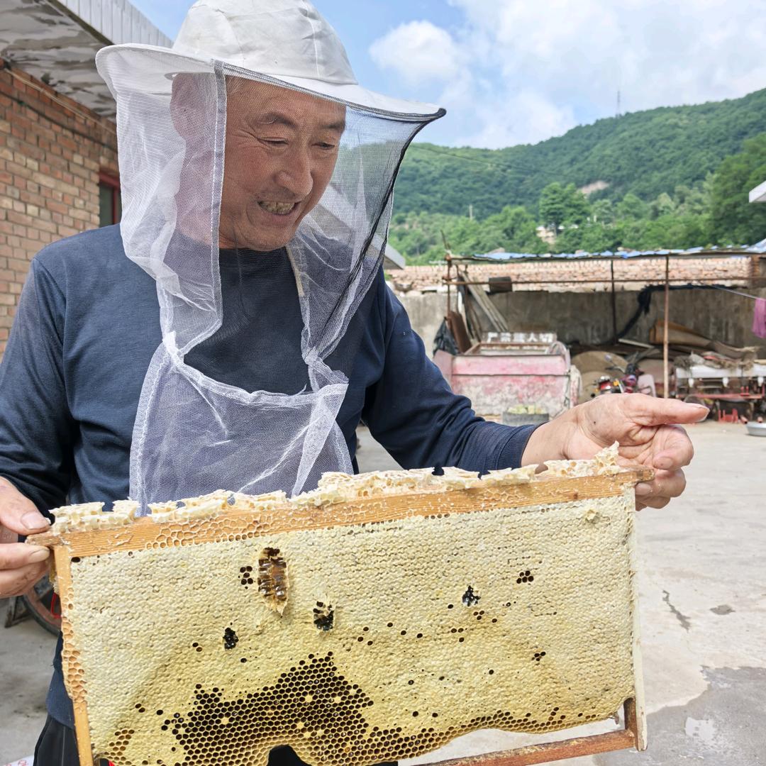 杜建明