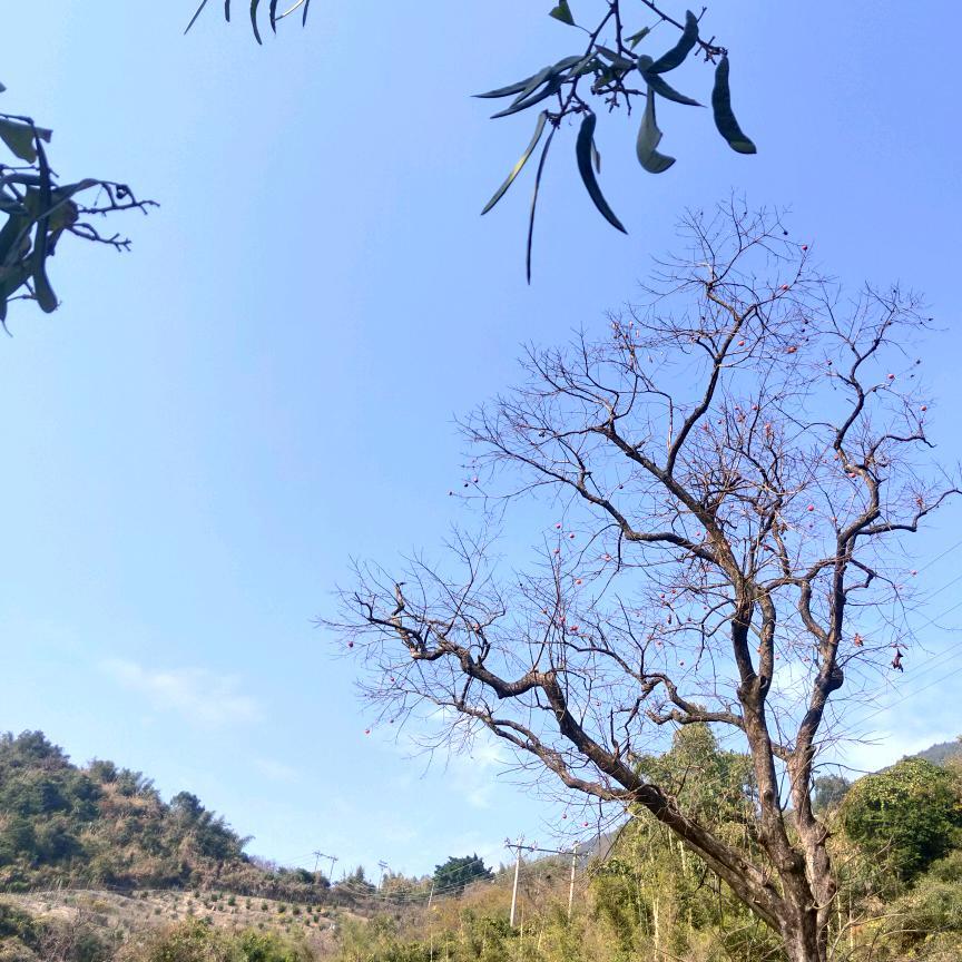 吃糖都不甜的年纪