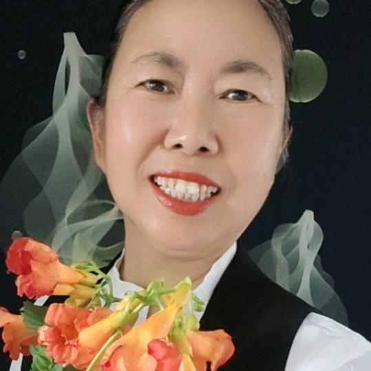 开心莲花(好物推荐)