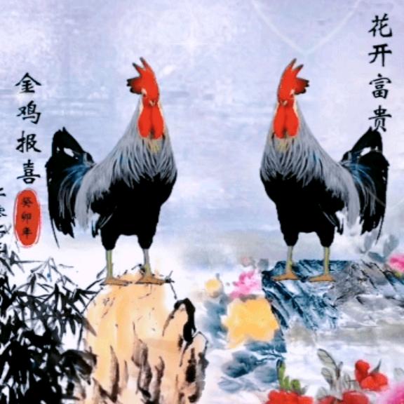 韦妹