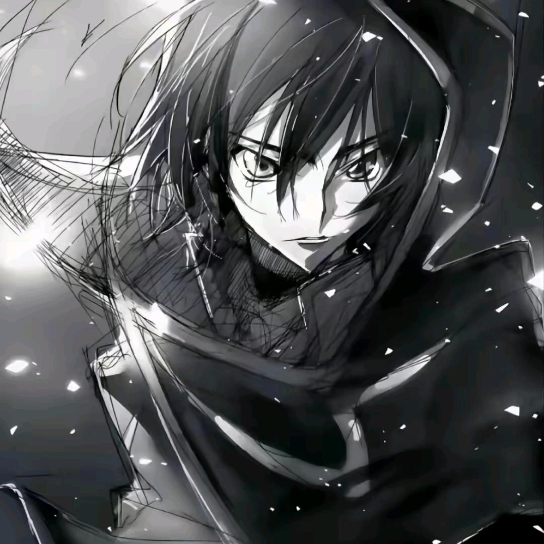苫盖